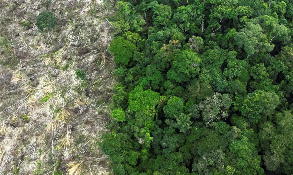 Blur background